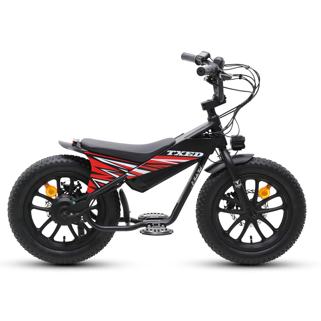 E Moto Kid premium 16