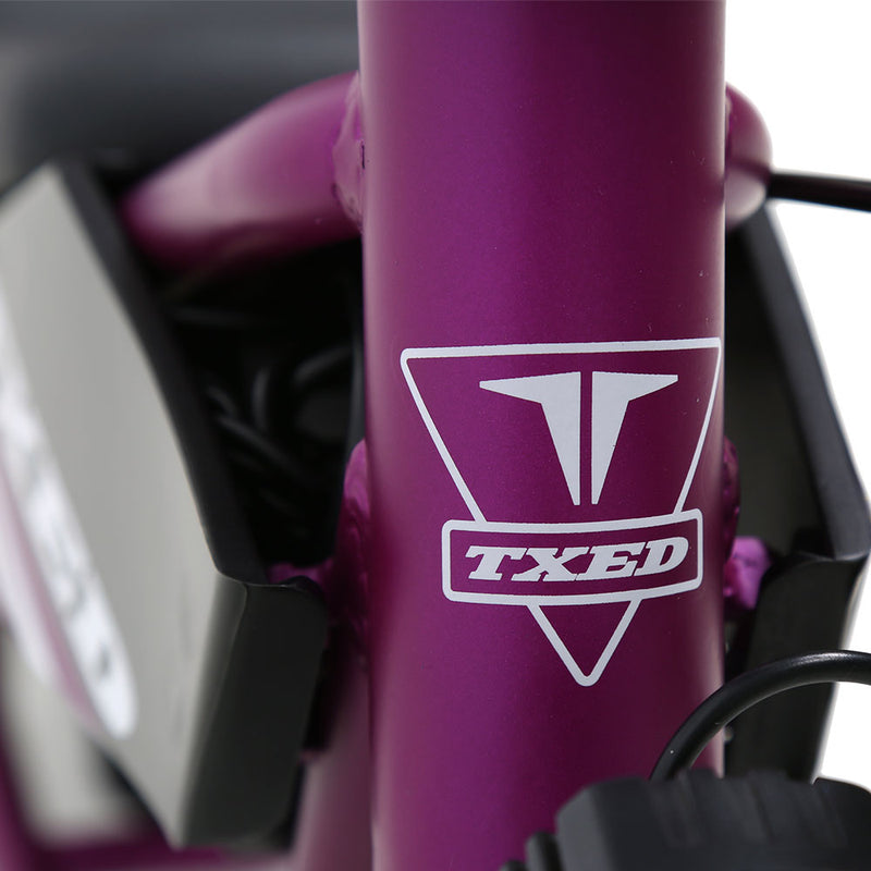 E Moto Kid premium 12