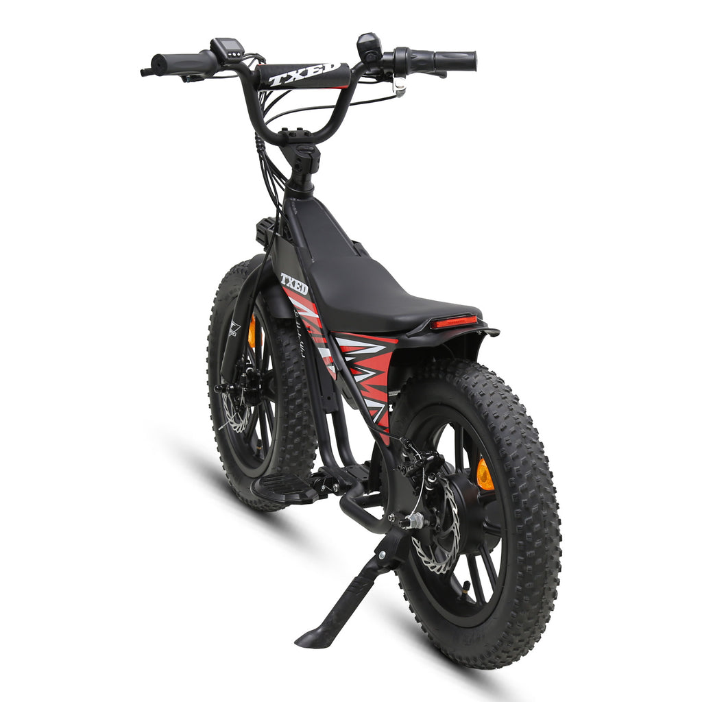 E Moto Kid premium 16