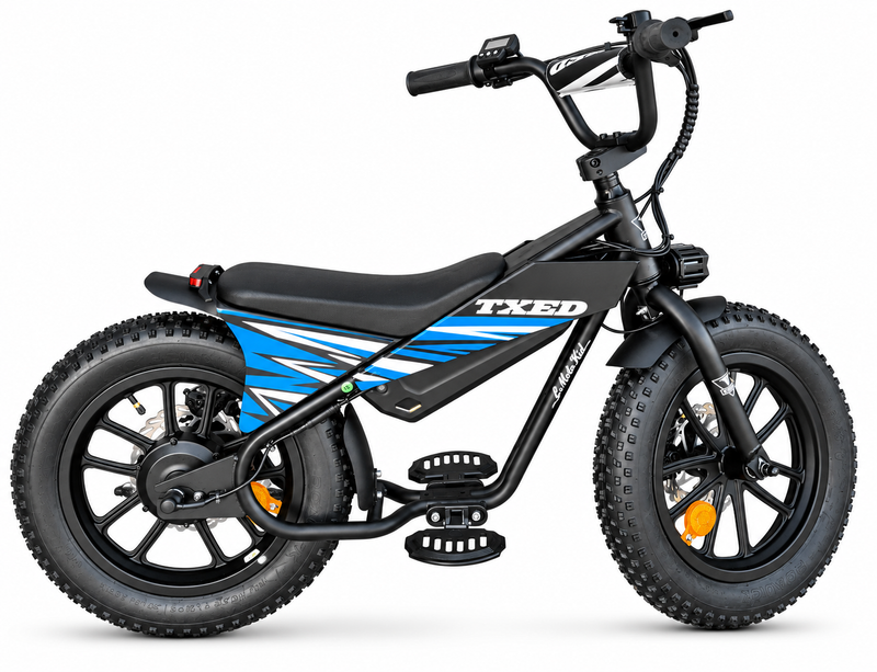 E Moto Kid premium 16