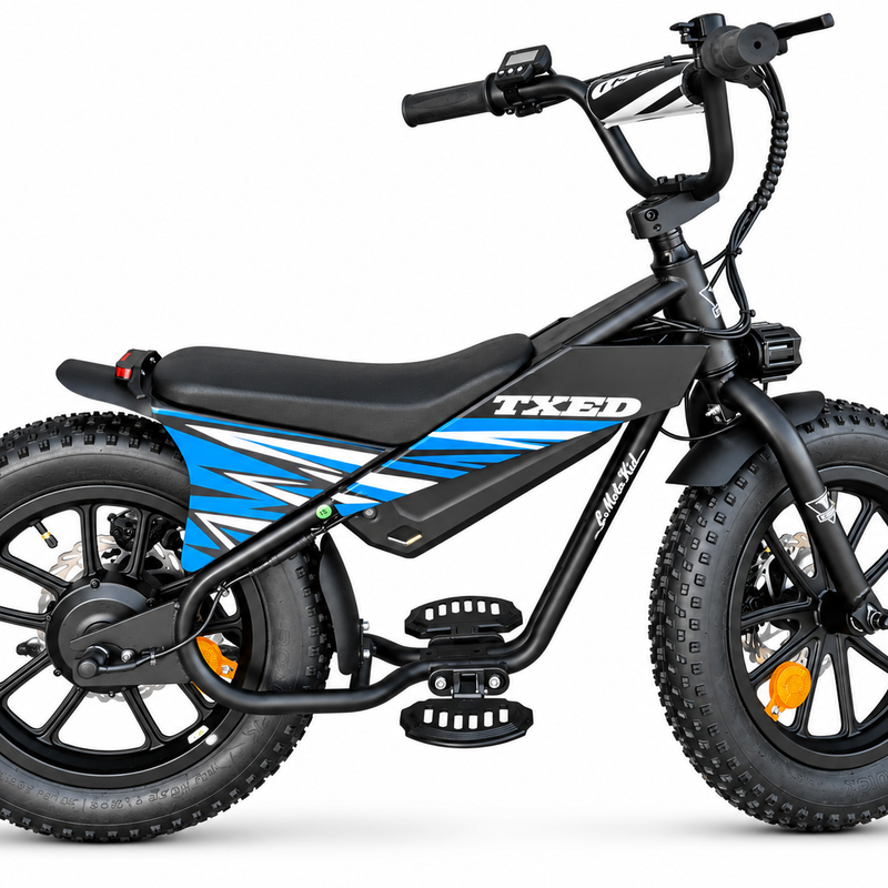 E Moto Kid premium 16