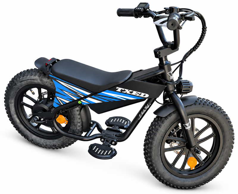 E Moto Kid premium 16