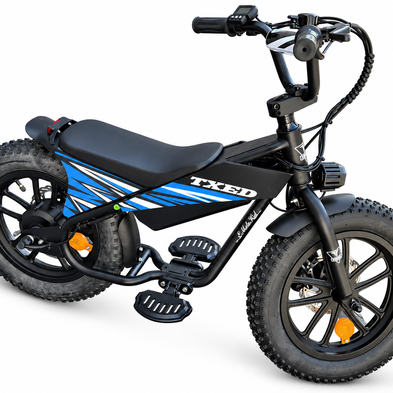 E Moto Kid premium 16